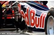 Une Red Bull RB7 perfectible