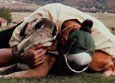 Hamilton annonce le décès de son chien Roscoe