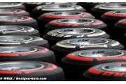 Pirelli pourra panacher ses pneus en 2014
