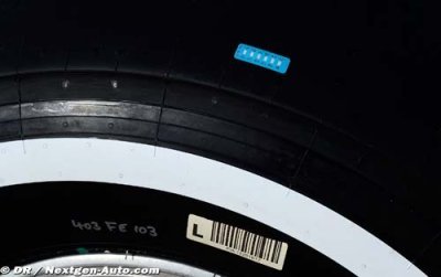 Pirelli et la FIA surveille le pré-chauffage des pneus