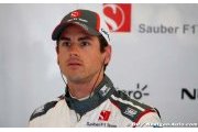 Bilan F1 2014 - Adrian Sutil