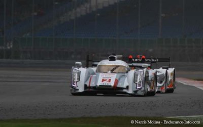 Loïc Duval&nbsp;: Audi nous laisse le champ libre