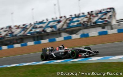 Des F1 trop lentes en 2014 selon plusieurs pilotes