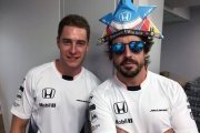 Alonso et Vandoorne s'entendent très bien pour le moment