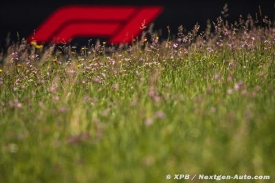 La F1 annonce la création d’un nouveau réglement, le réglement écologique