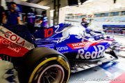 Red Bull suit avec attention les performances de Toro Rosso et Honda