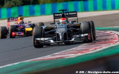 Race - Hungarian GP report: Sauber Ferrari
