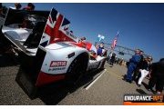 Greaves Motorsport : Sebring, mais aussi WEC, Le Mans, ELMS...