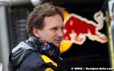 Vettel apologised for ignoring India go-slow - Horner