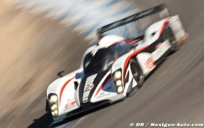 Muscle Milk&nbsp;: Une présence plus forte en ALMS en 2012