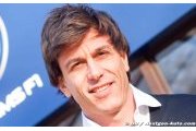 Austrian investor's Williams share is 10pc - report