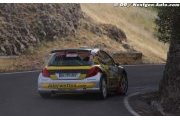 Wittmann wants more IRC action in 2011