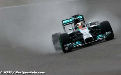 Hamilton et Vettel veulent de meilleurs pneus pluie