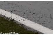 La pluie est bien au rendez-vous à Interlagos