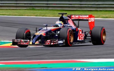 Hungary 2014 - GP Preview - Toro Rosso Renault