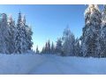 Sweden's winter wonderland before WRC event