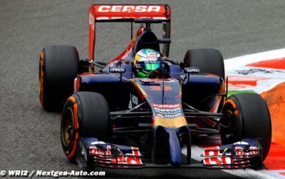 Singapore 2014 - GP Preview - Toro Rosso Renault