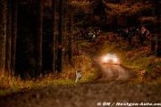 Photos - WRC 2014 - Wales Rally GB