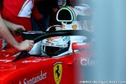 'Halo' decision must be made soon - FIA