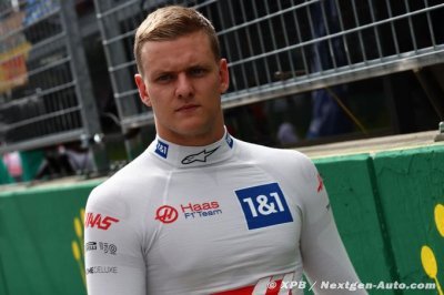 Schumacher&nbsp;: Le harcèlement entre fans est ’intolérable’