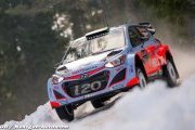 Photos - WRC 2015 - Rallye de Suède
