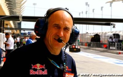 Toro Rosso&nbsp;: la petite qui veut devenir grande