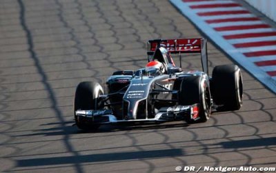 USA 2014 - GP Preview - Sauber Ferrari