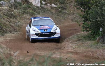 Three Peugeot 207 Super 2000s finish in the top five