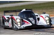 ALMS Mosport: Muscle Milk wins overall from pole