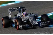 Horner : les fans ne seront pas déçus par la livrée définitive