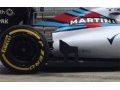 Radical Williams winglet 'not legal'