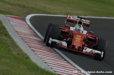 Vettel est-il moins polyvalent qu’Alonso&nbsp;?