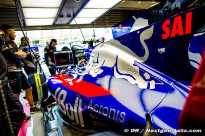 Sainz says Red Bull to decide future