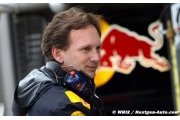 Vettel apologised for ignoring India go-slow - Horner
