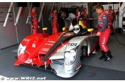 Audi R15 plus on front row on its début