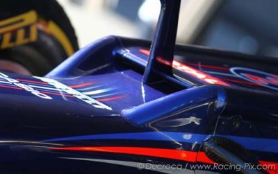 Le mystérieux nez de la Red Bull RB8