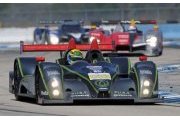 Sebring : Une ORECA-FLM09 pour DragonSpeed