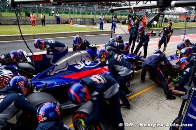 Toro Rosso - Honda&nbsp;? Red Bull a été trop gourmande&nbsp;!