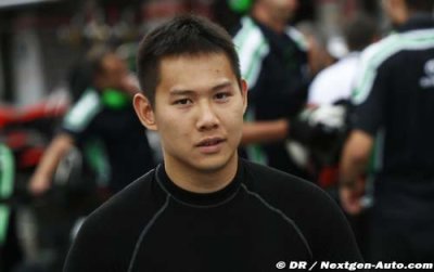 Adderly Fong and Roy Nissany will test a Sauber C31