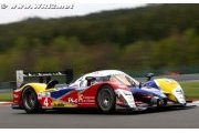 24h du Mans : la 908 d'Oreca a une faim de Lion !