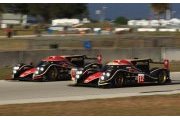 Sebring, Essais 1 : Rebellion Racing se montre