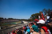 Photos - GP F1 d'Italie 2024 - Vendredi
