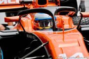 Le halo va se développer mondialement jusqu'en 2020