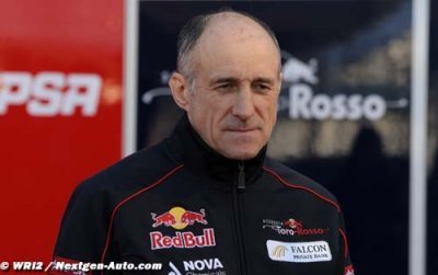 Toro Rosso voit Caterham comme un nouveau rival