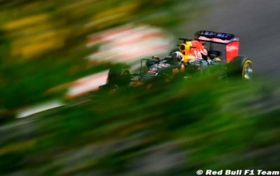 Race - Hungarian GP report: Renault F1