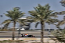 Photos - Essais F1 2026 - Bahreïn 1 (…)