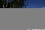 Photo 806/71