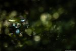Photo 575/89