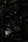 Photo 524/100