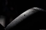 Photo 470/93